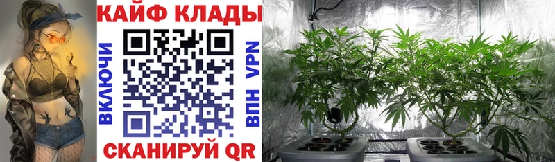 Купить наркотики цена Камышлов Конопля  Героин  А ПВП  Галлюциногенные грибы  Кокаин  ГАШИШ  Меф 