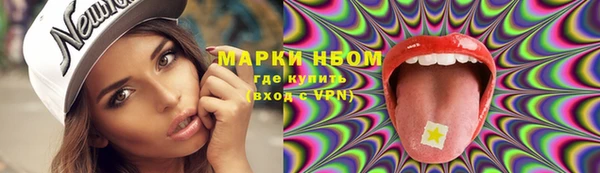 сатива Зеленокумск