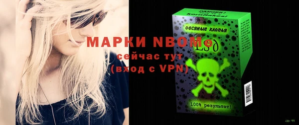 сатива Зеленокумск