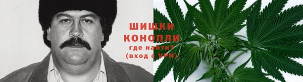 ешки Зерноград
