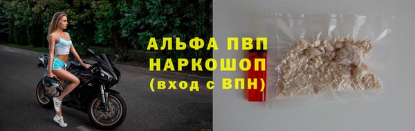 сатива Зеленокумск
