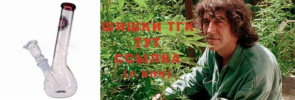 сатива Зеленокумск