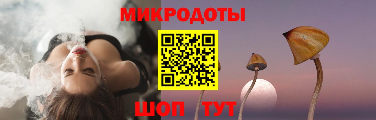 Псилоцибиновые грибы мицелий  Вход с VPN  Камышлов 